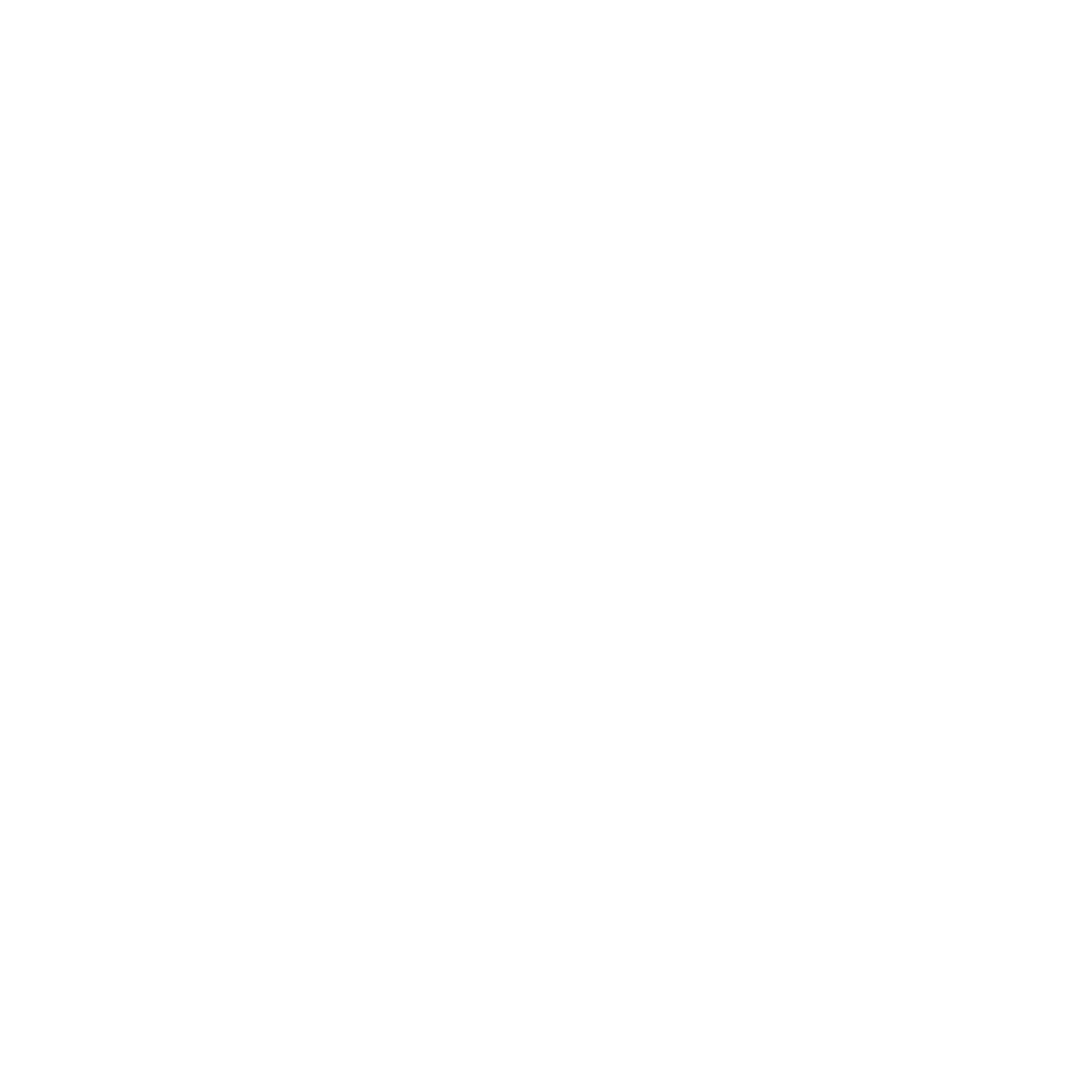 Twin Tribes logo