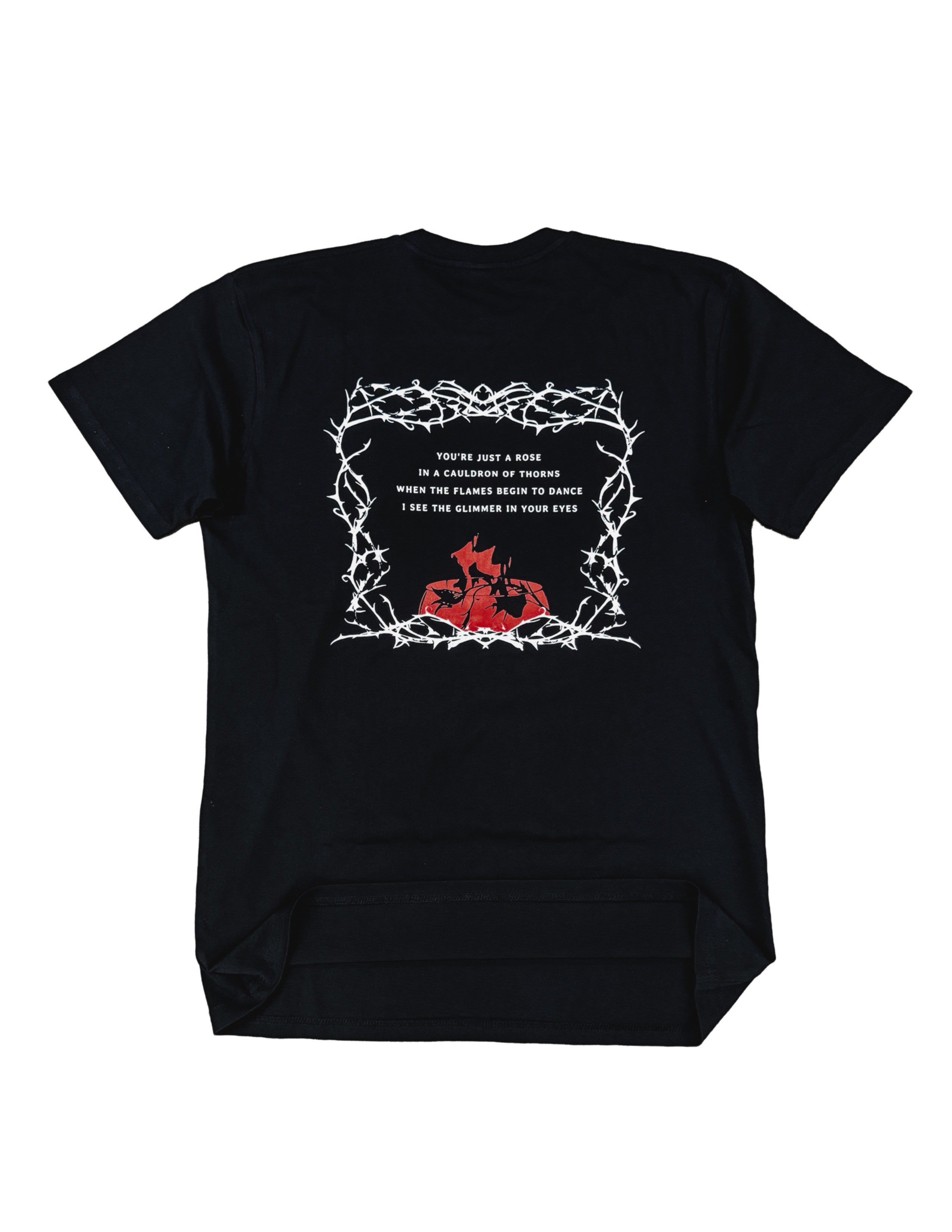 Cauldron of Thorns